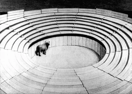 木版 Morena - Attesa due