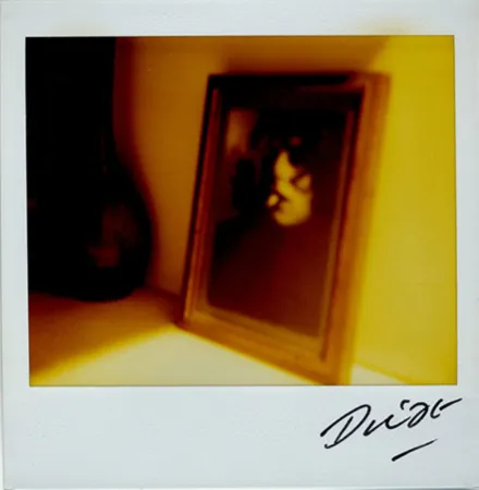 多数の Moriyama - Bye-Bye Polaroid 10