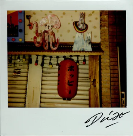 多数の Moriyama - Bye-Bye Polaroid 13