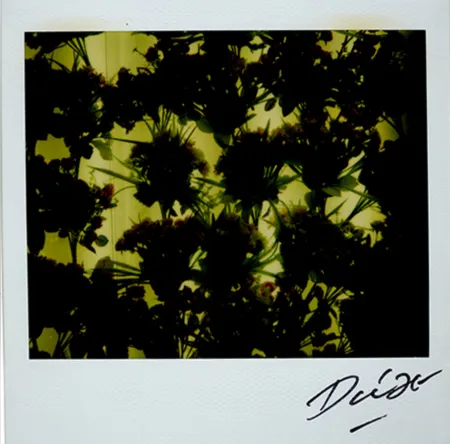 多数の Moriyama - Bye-Bye Polaroid 4