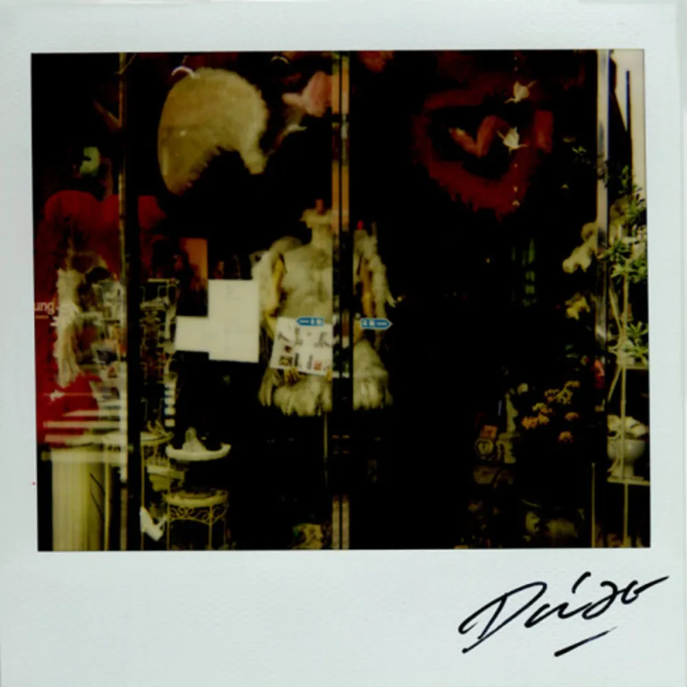 多数の Moriyama - Bye-Bye Polaroid 9