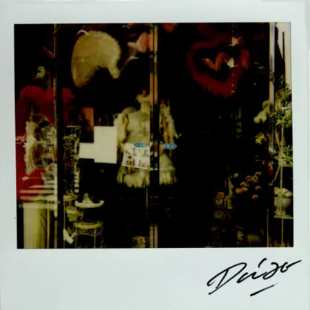 多数の Moriyama - Bye-Bye Polaroid 9