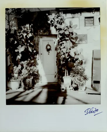 多数の Moriyama - Passage 3