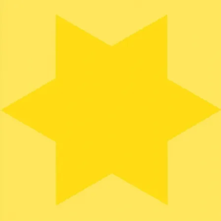 シルクスクリーン Mosset - Etoile jaune