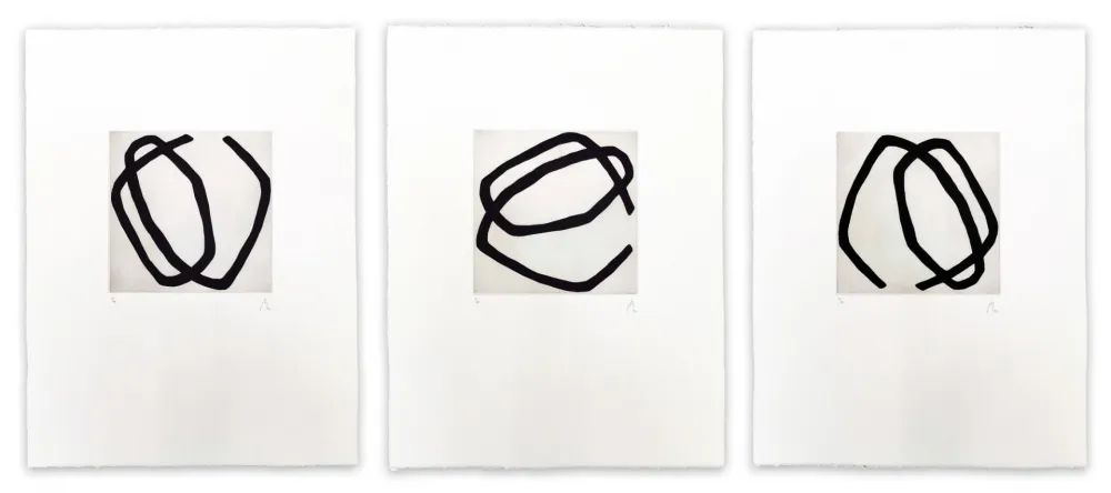 アクチアント Muckensturm - 12.5