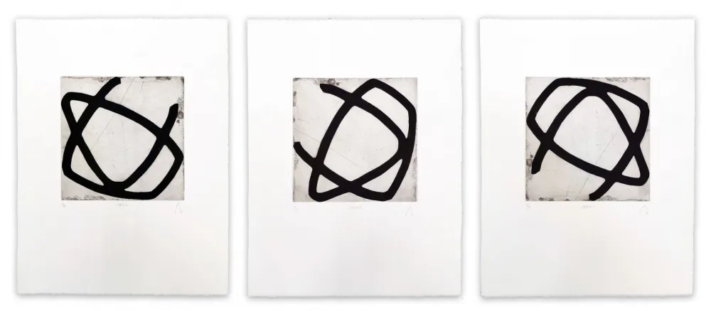 アクチアント Muckensturm - 13R1