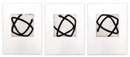 アクチアント Muckensturm - 13R1