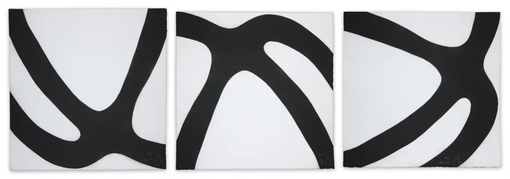 アクチアント Muckensturm - 14c2