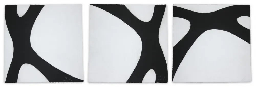 アクチアント Muckensturm - 14C6