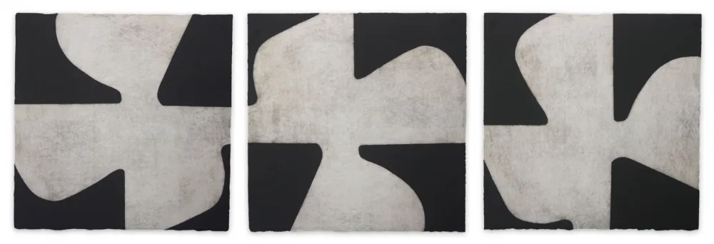 アクチアント Muckensturm - 183C23041