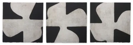 アクチアント Muckensturm - 183C23041