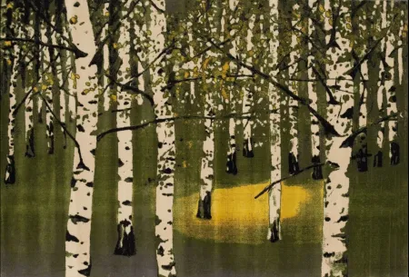 多数の Muller - Birkenwald IV