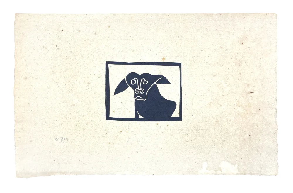 技術的なありません Müller - SKILIA II