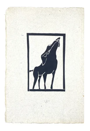 木版 Müller - SKILIA VI