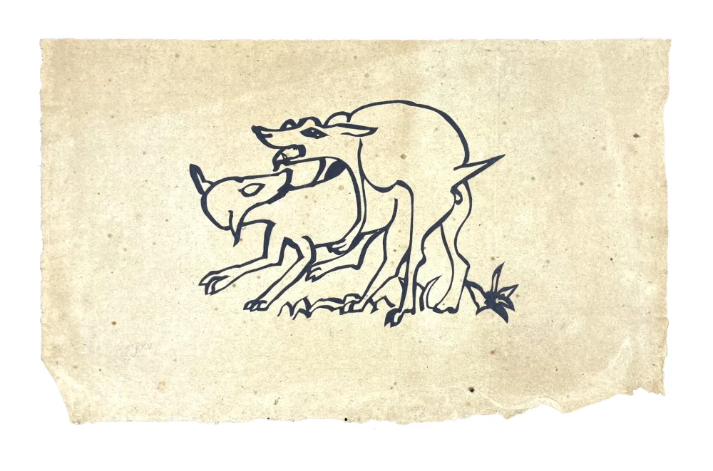 木版 Müller - SKILIA VIII