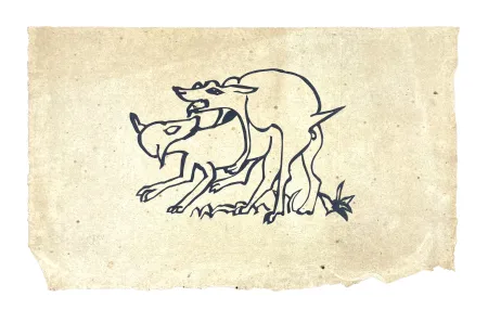 木版 Müller - SKILIA VIII