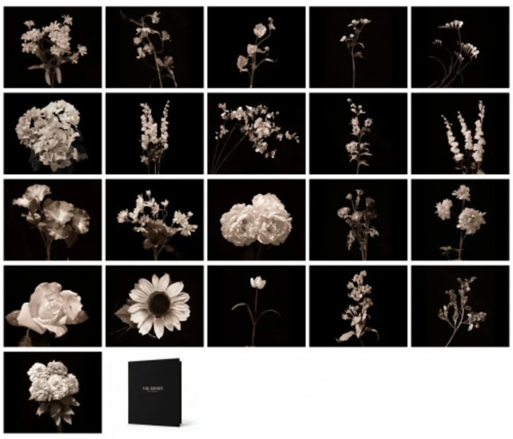写真 Muniz - Flora Industrialis B/N