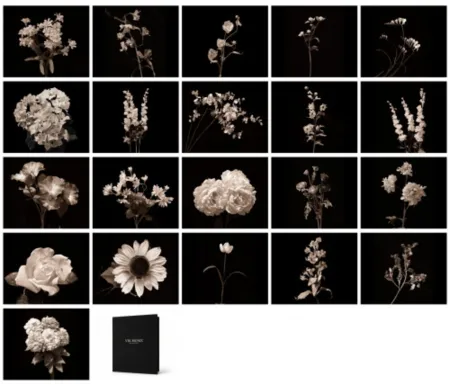 写真 Muniz - Flora Industrialis B/N