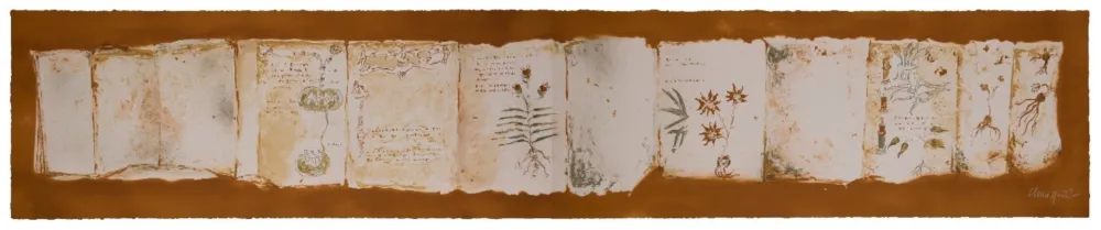 多数の Muñoz - Manuscrit II