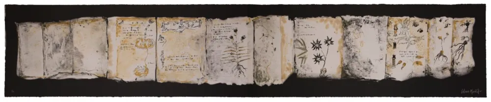 多数の Muñoz - Manuscrit III