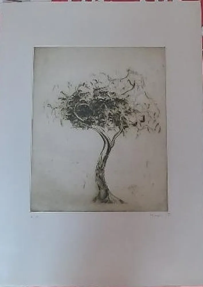 彫版 Music - Baum (1975)