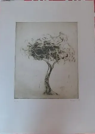 彫版 Music - Baum (1975)
