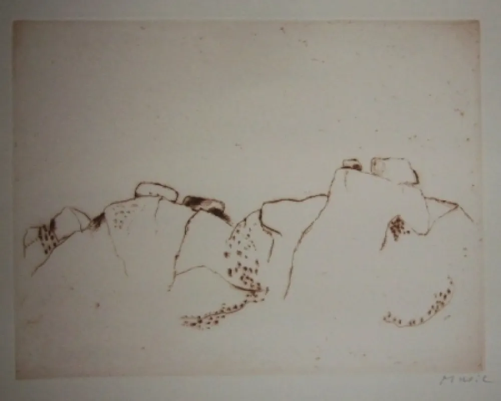 エッチングと　アクチアント Music - Jardins