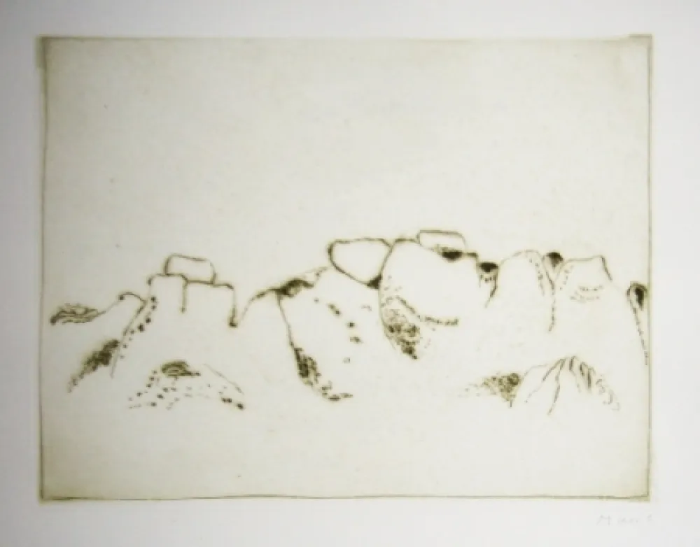 エッチングと　アクチアント Music - Jardins