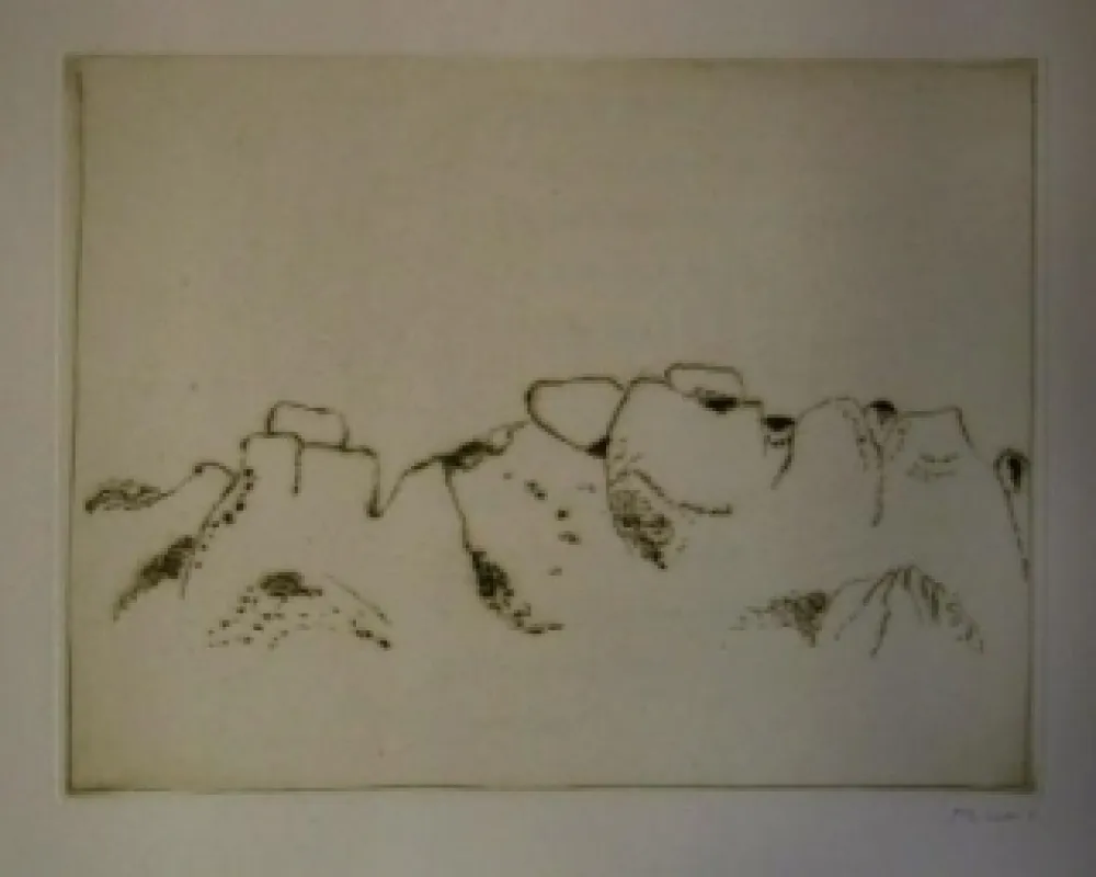 挿絵入り本 Music - Jardins déserts peut-être