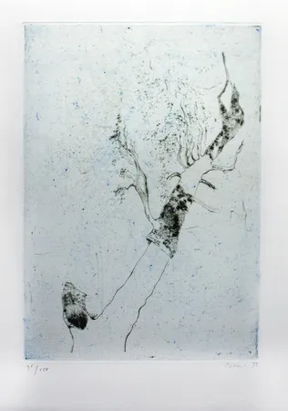 彫版 Music - Motif végatal