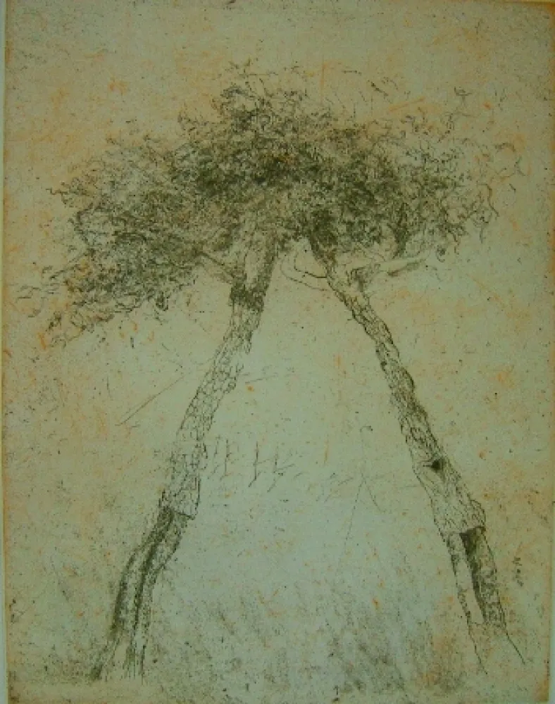 アクチアント Music - Motif vegetal