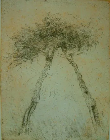 アクチアント Music - Motif vegetal