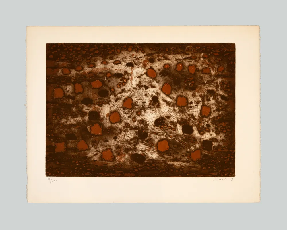 彫版 Music - Terre dalmate