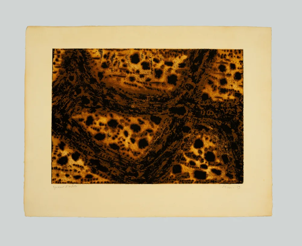 彫版 Music - Terre dalmate