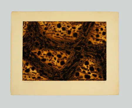 彫版 Music - Terre dalmate