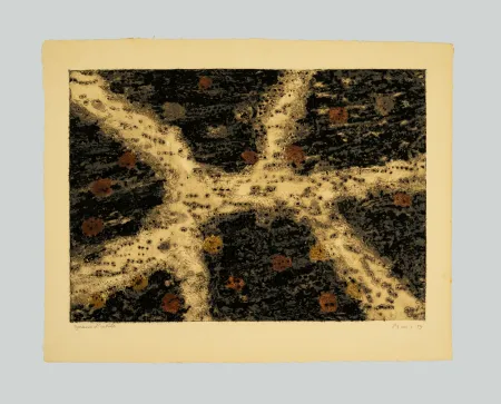 エッチングと　アクチアント Music - Terre dalmate