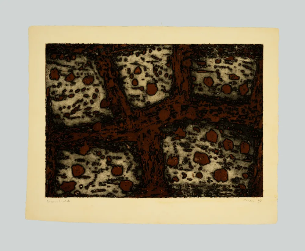 エッチングと　アクチアント Music - Terre dalmate