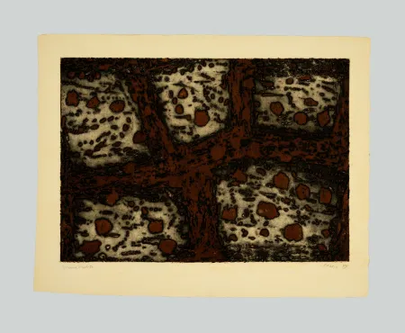 エッチングと　アクチアント Music - Terre dalmate