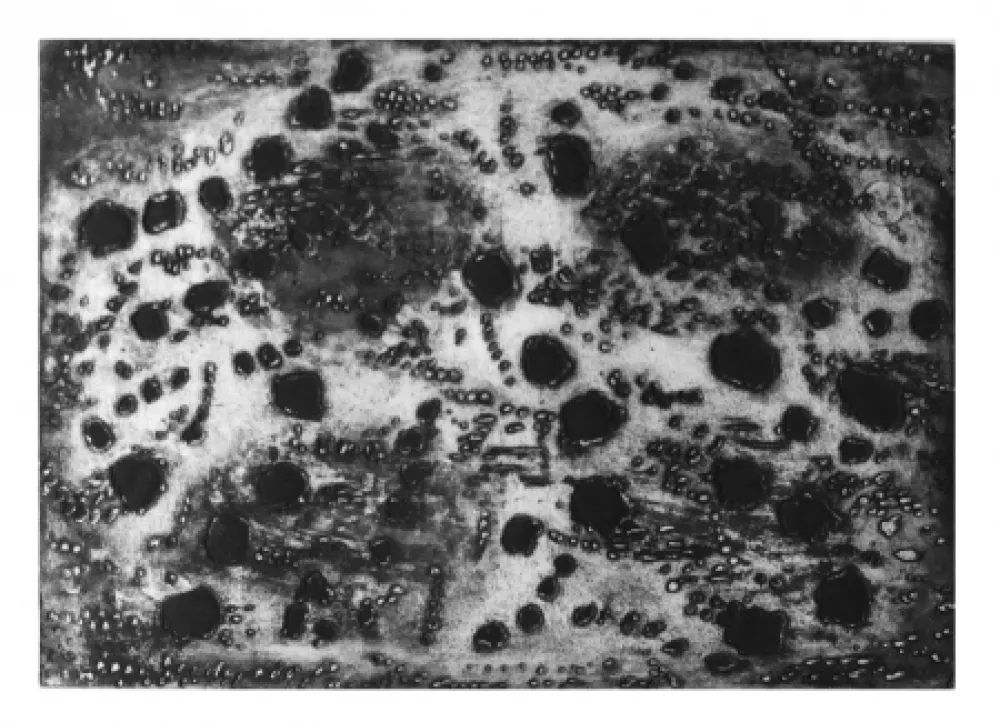 彫版 Music - Terre d'Istrie