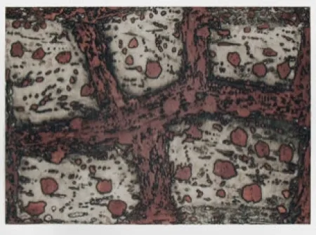 彫版 Music - Terre d'Istrie