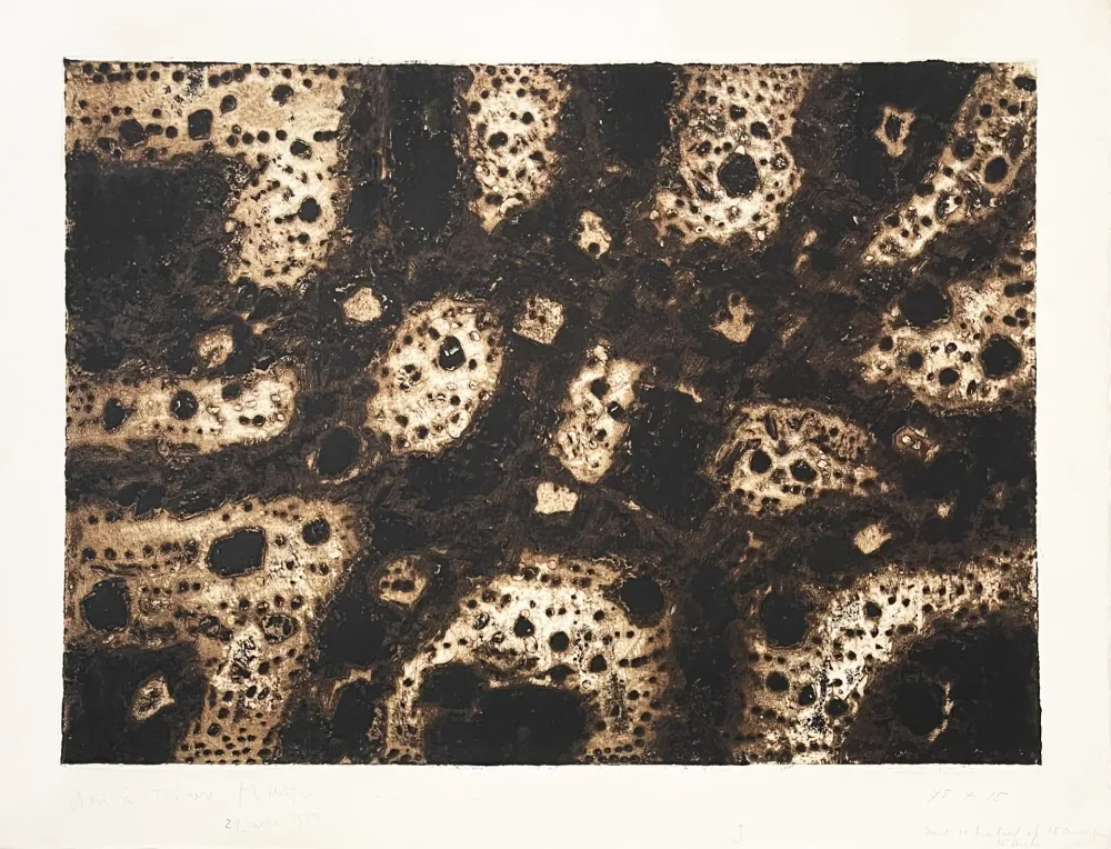 彫版 Music - Terres dalmates