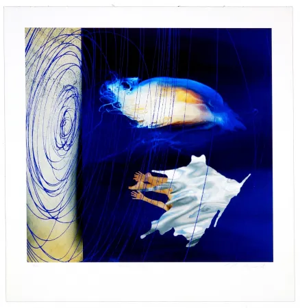 デジタル版画 Myrvold - Water dream