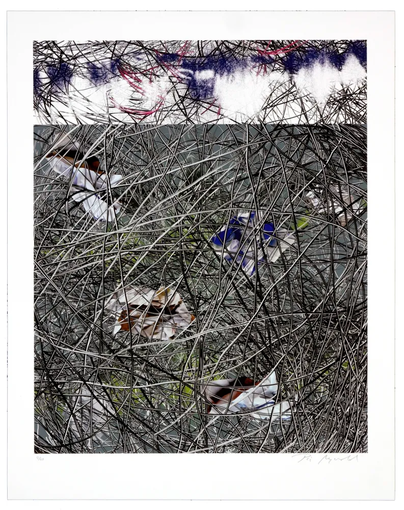 リトグラフ Myrvold - Winter Clouds II