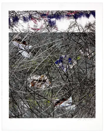 リトグラフ Myrvold - Winter Clouds II