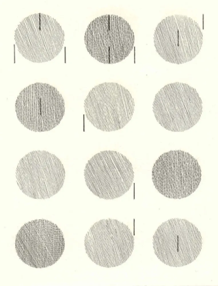 挿絵入り本 Nangeroni - Sei poesie per un romanzo