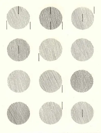 挿絵入り本 Nangeroni - Sei poesie per un romanzo