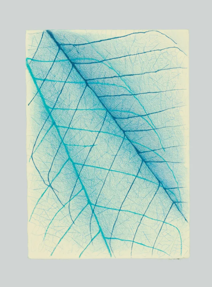 技術的なありません Napoleone - Essenze, assenze