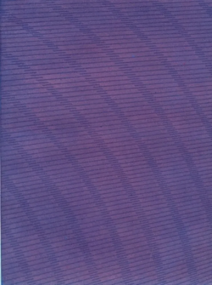 挿絵入り本 Napoleone - Rimanenze