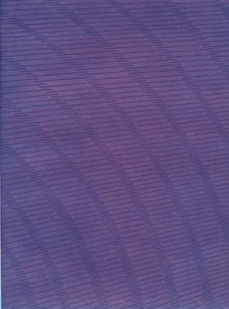 挿絵入り本 Napoleone - Rimanenze