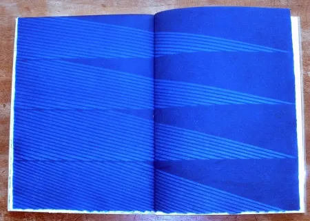 挿絵入り本 Napoleone - Rimanenze